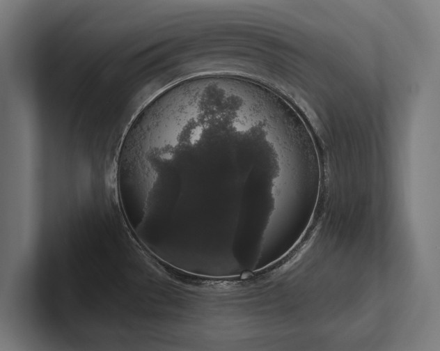X0000102401529200808011536