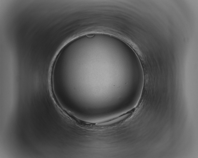 X0000102401530200808011536