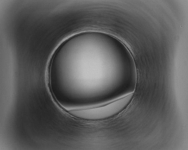 X0000102401531200808011536
