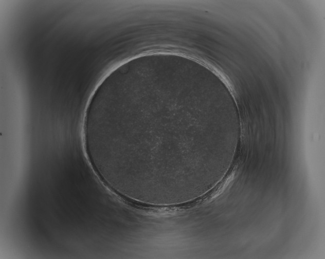 X0000102401533200808011536