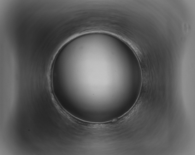 X0000102401534200808011536