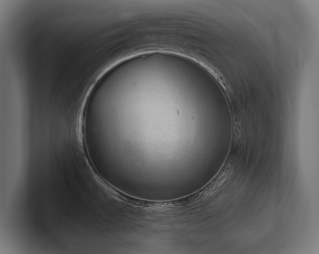X0000102401535200808011536