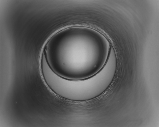 X0000102401536200808011536