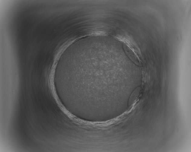 X0000102400001200808081314