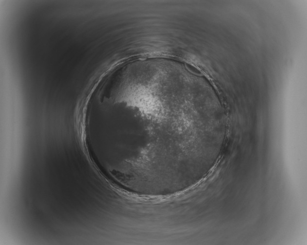 X0000102400002200808081314