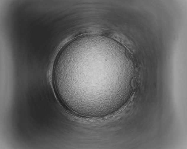 X0000102400003200808081314