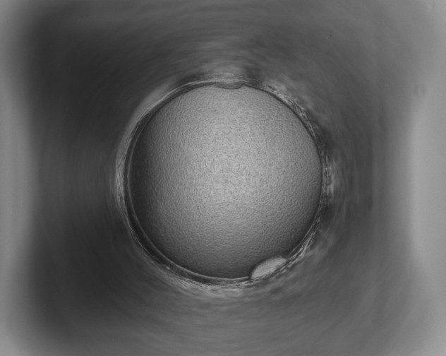 X0000102400004200808081314