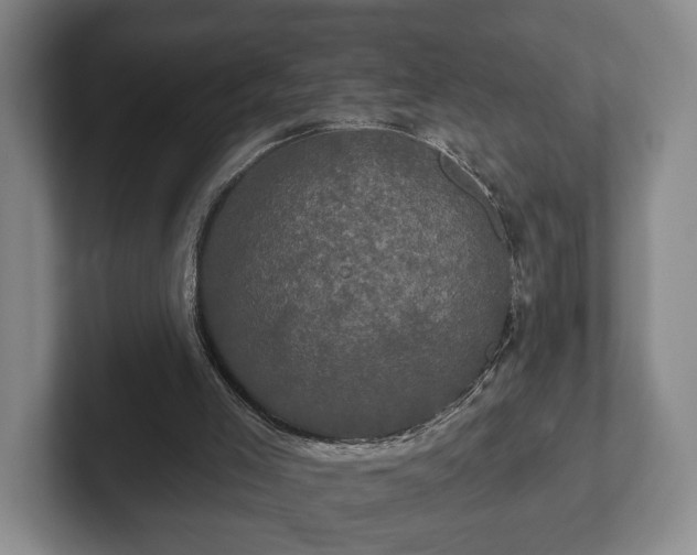 X0000102400005200808081314