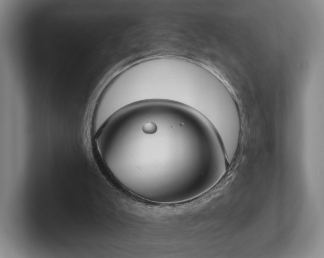 X0000102400007200808081314