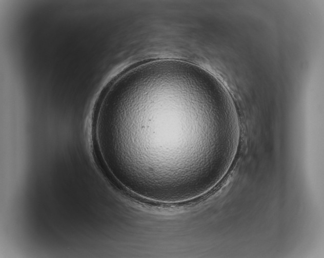 X0000102400008200808081314