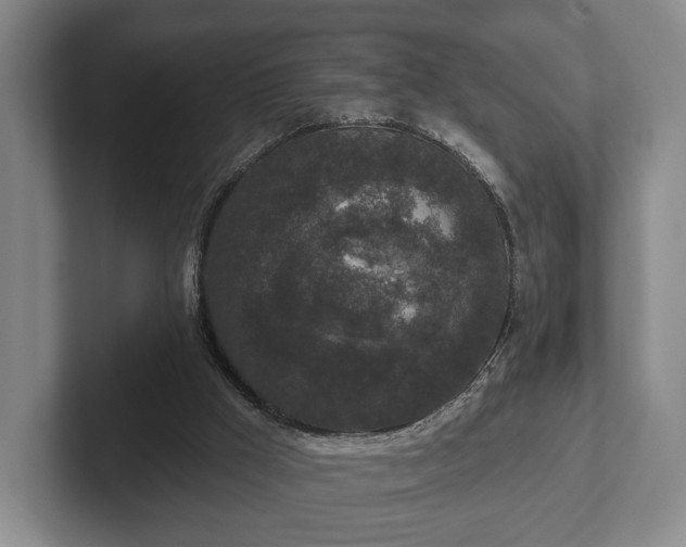 X0000102400009200808081313