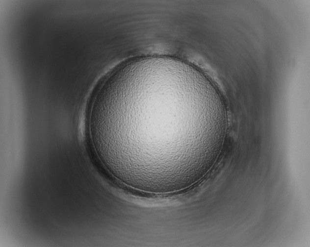 X0000102400012200808081313