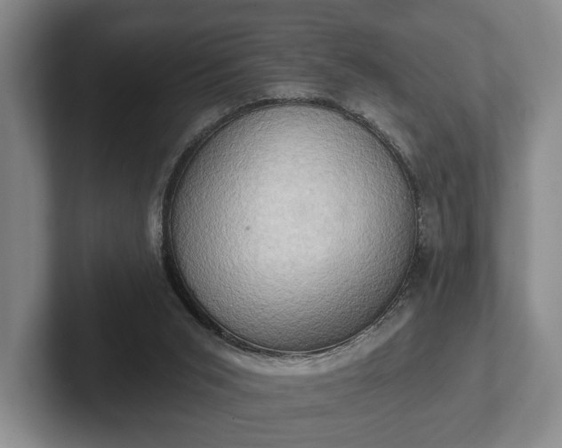 X0000102400015200808081313