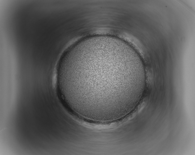 X0000102400016200808081313