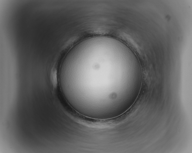 X0000102400020200808081313