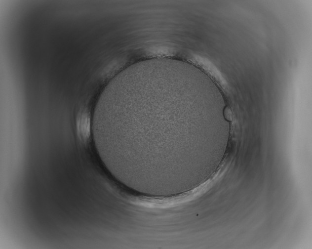 X0000102400021200808081313