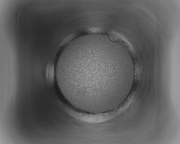 X0000102400024200808081313