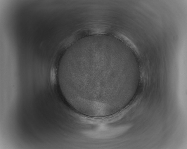 X0000102400026200808081313