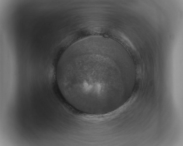 X0000102400029200808081313