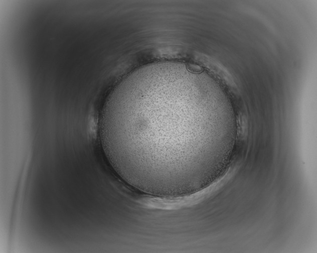 X0000102400033200808081313