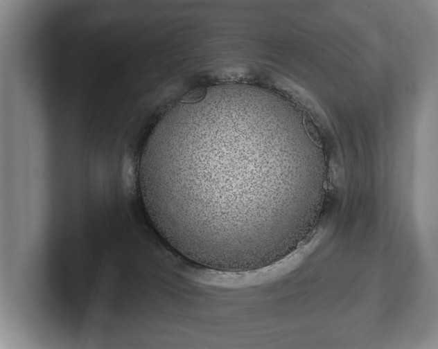 X0000102400037200808081313