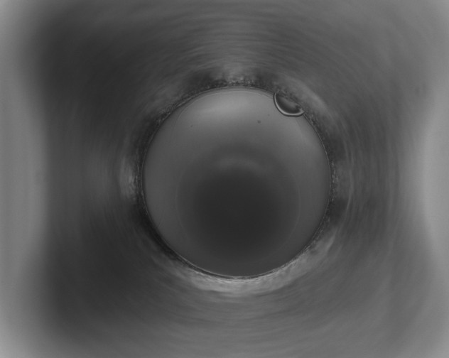 X0000102400039200808081313