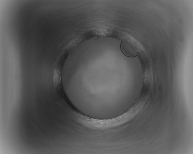 X0000102400043200808081313