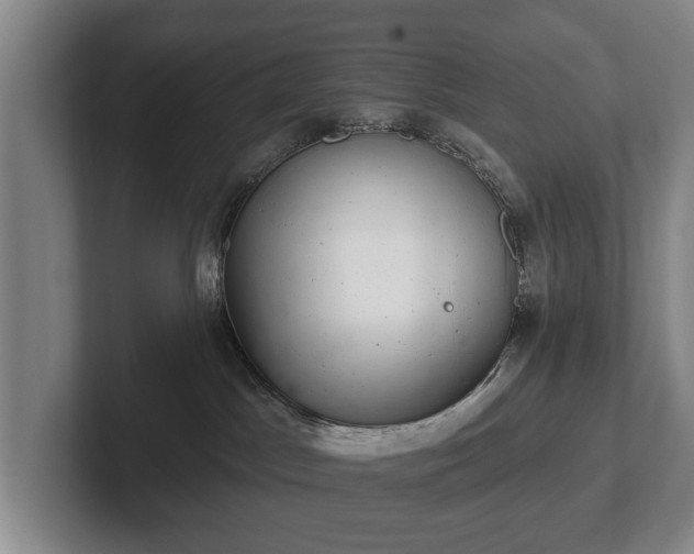 X0000102400045200808081313