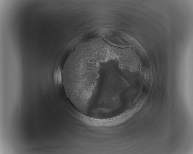 X0000102400046200808081313