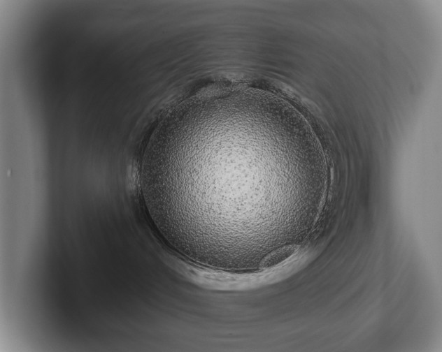 X0000102400048200808081313