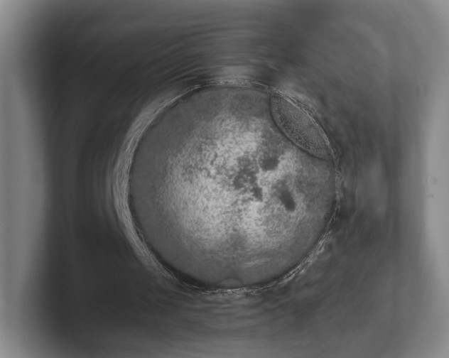 X0000102400049200808081312