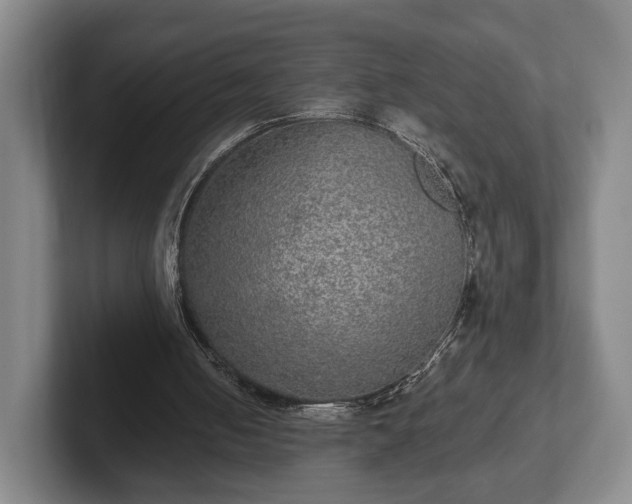 X0000102400050200808081312