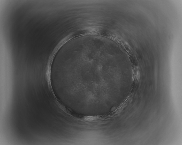 X0000102400051200808081312