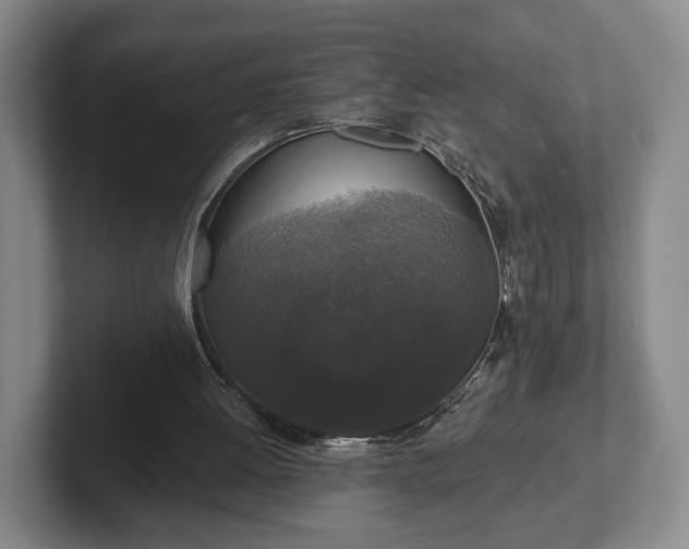 X0000102400052200808081312