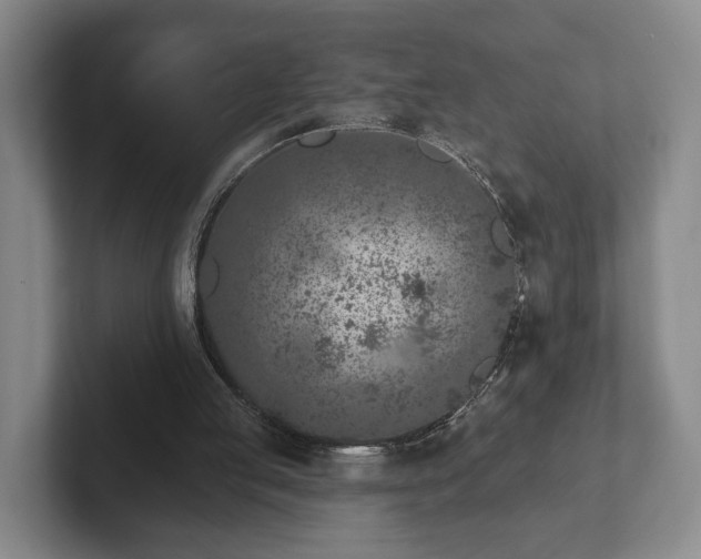 X0000102400053200808081312