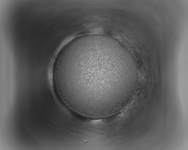 X0000102400054200808081312