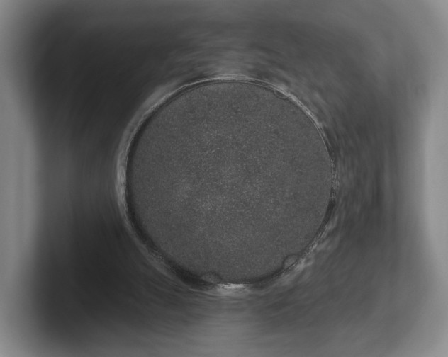 X0000102400055200808081312