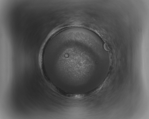 X0000102400056200808081312