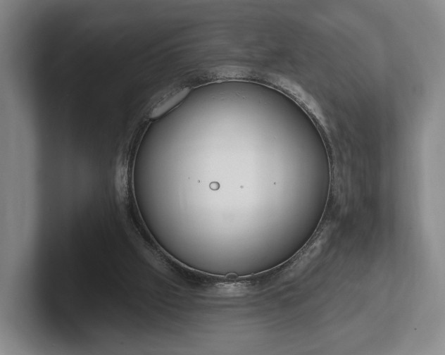 X0000102400057200808081312