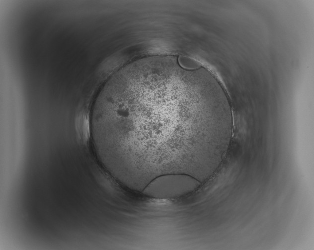 X0000102400061200808081313