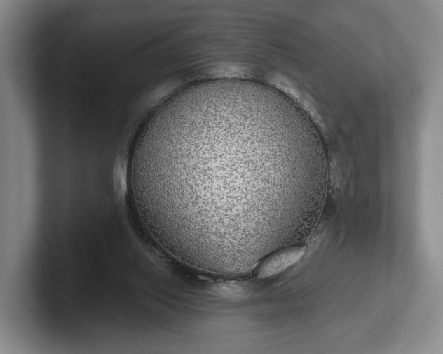 X0000102400062200808081313