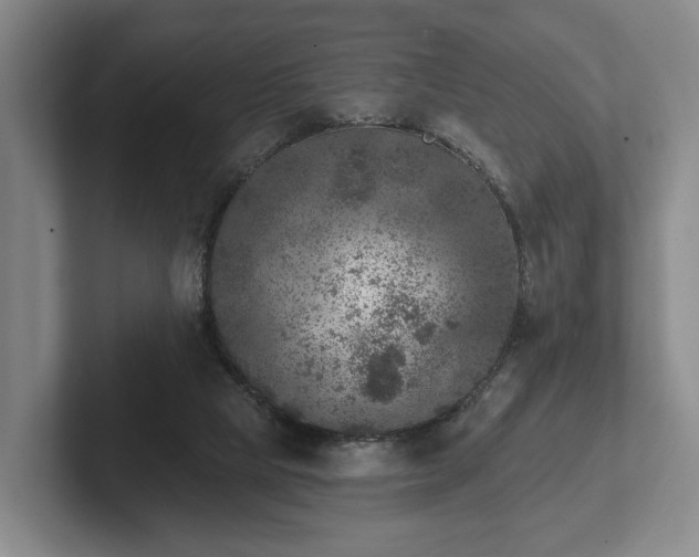 X0000102400065200808081313