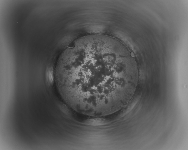 X0000102400069200808081313