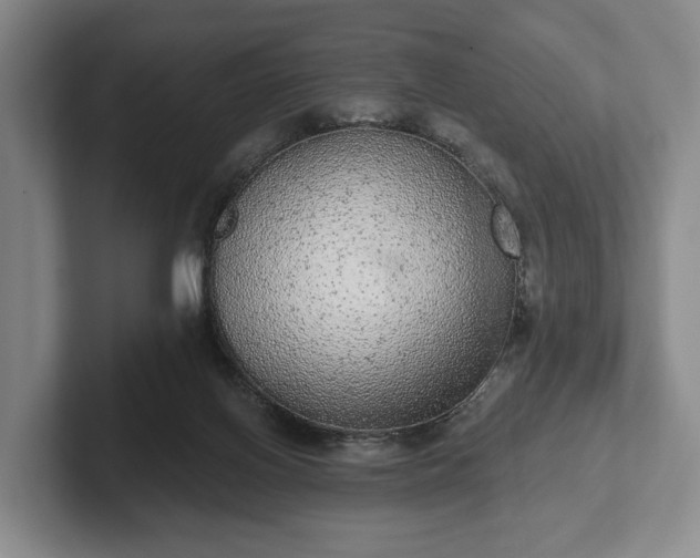 X0000102400070200808081313