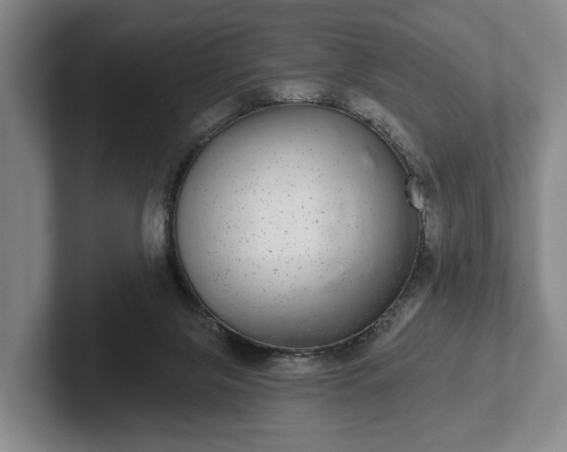 X0000102400071200808081313