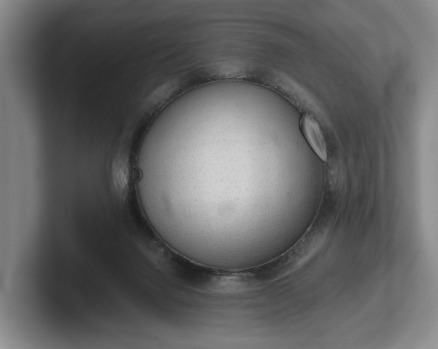 X0000102400072200808081313