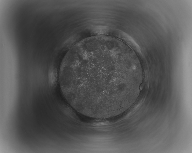 X0000102400073200808081313