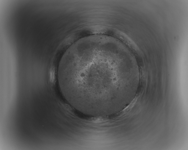 X0000102400074200808081313