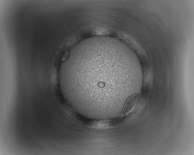 X0000102400078200808081313