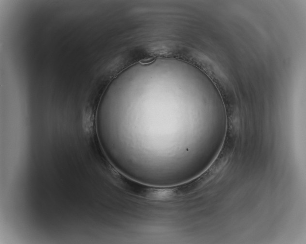 X0000102400081200808081313